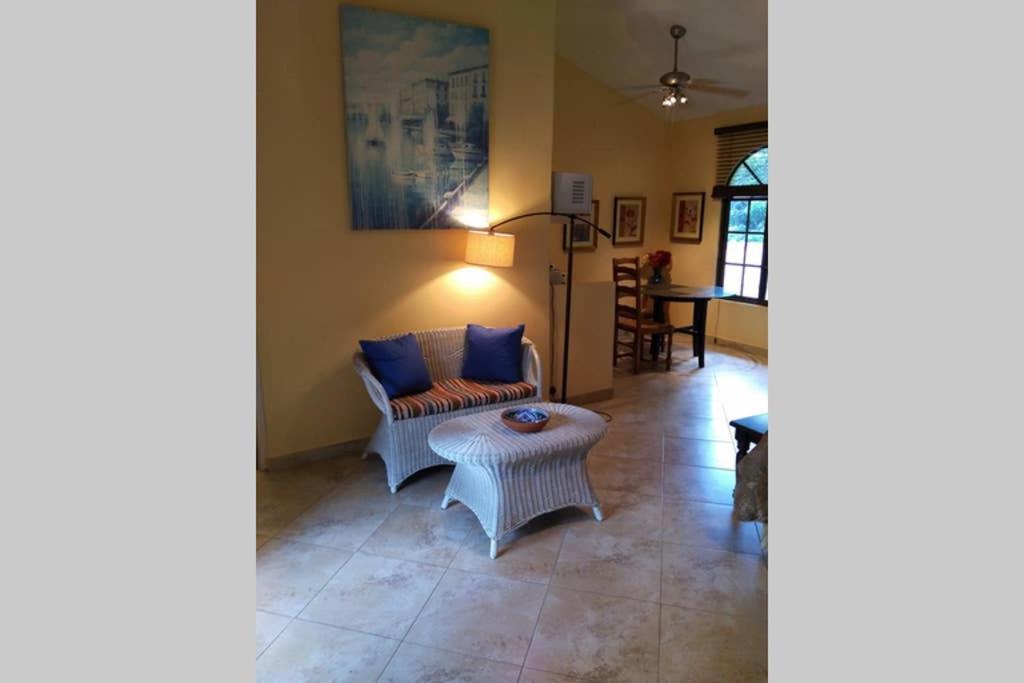 Tower Studio In The Treetops In Altos Del Maria Panama El Picacho 外观 照片