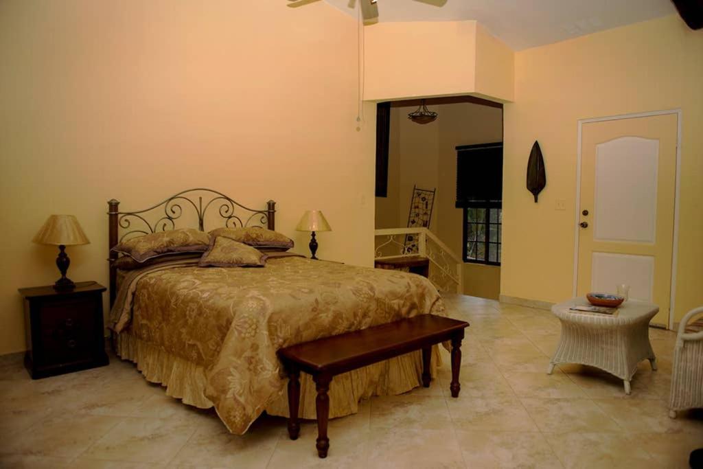 Tower Studio In The Treetops In Altos Del Maria Panama El Picacho 外观 照片