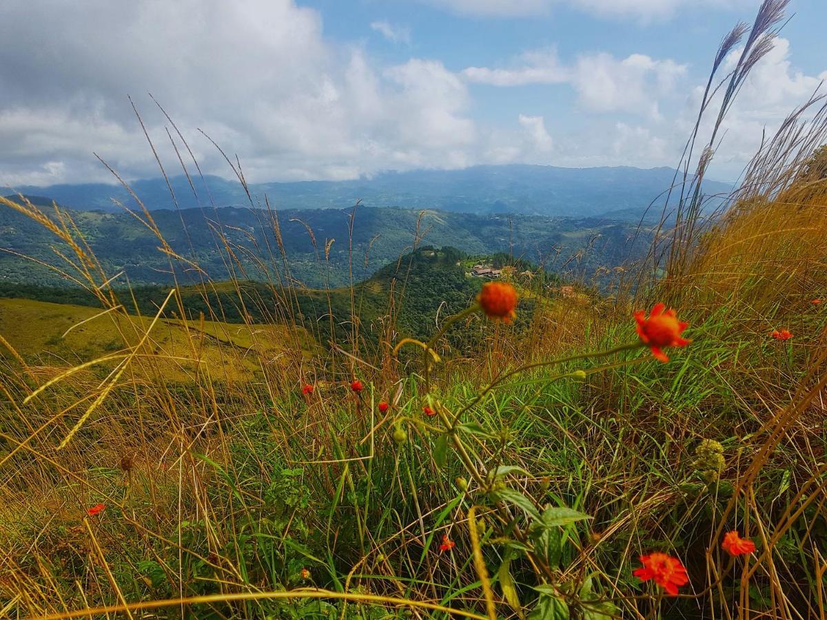 Tower Studio In The Treetops In Altos Del Maria Panama El Picacho 外观 照片