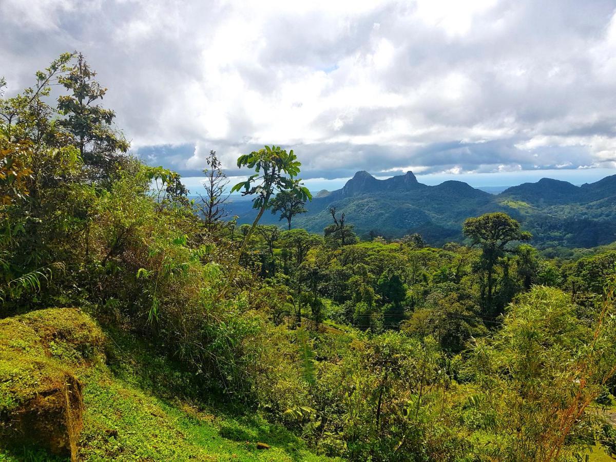 Tower Studio In The Treetops In Altos Del Maria Panama El Picacho 外观 照片