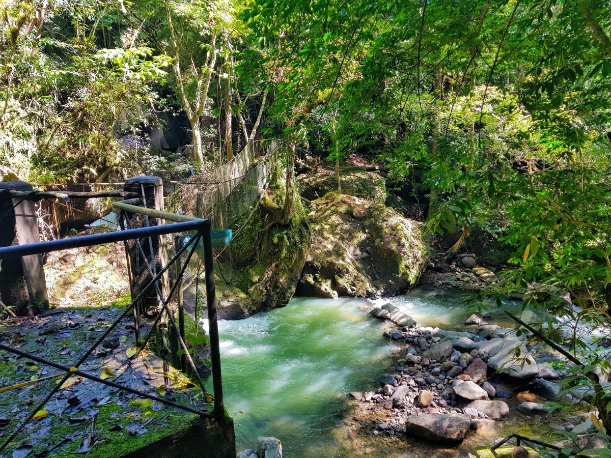 Tower Studio In The Treetops In Altos Del Maria Panama El Picacho 外观 照片