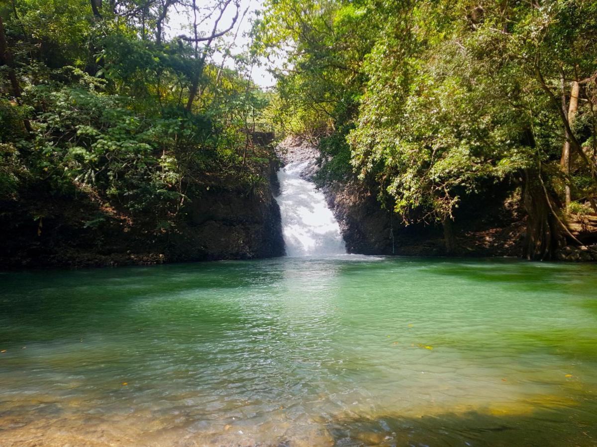 Tower Studio In The Treetops In Altos Del Maria Panama El Picacho 外观 照片