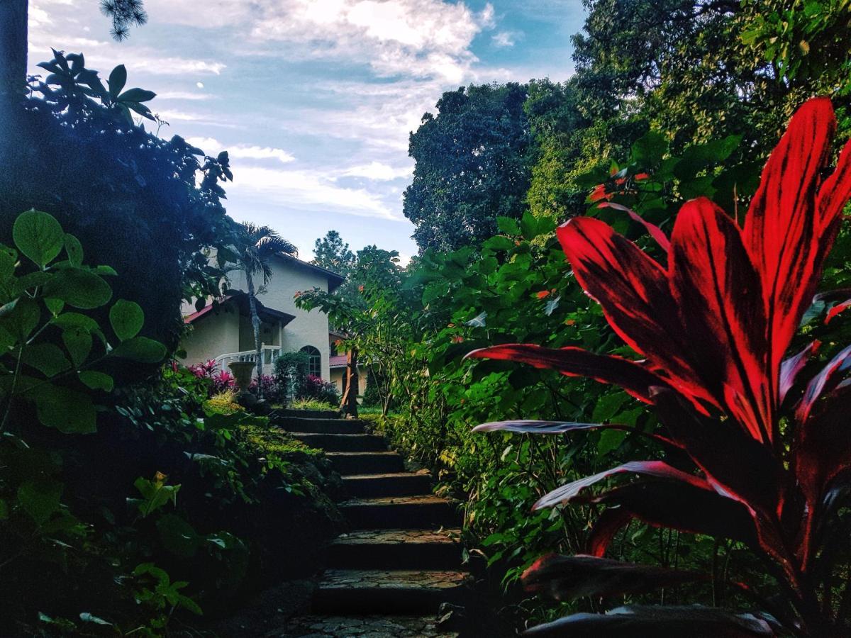 Tower Studio In The Treetops In Altos Del Maria Panama El Picacho 外观 照片