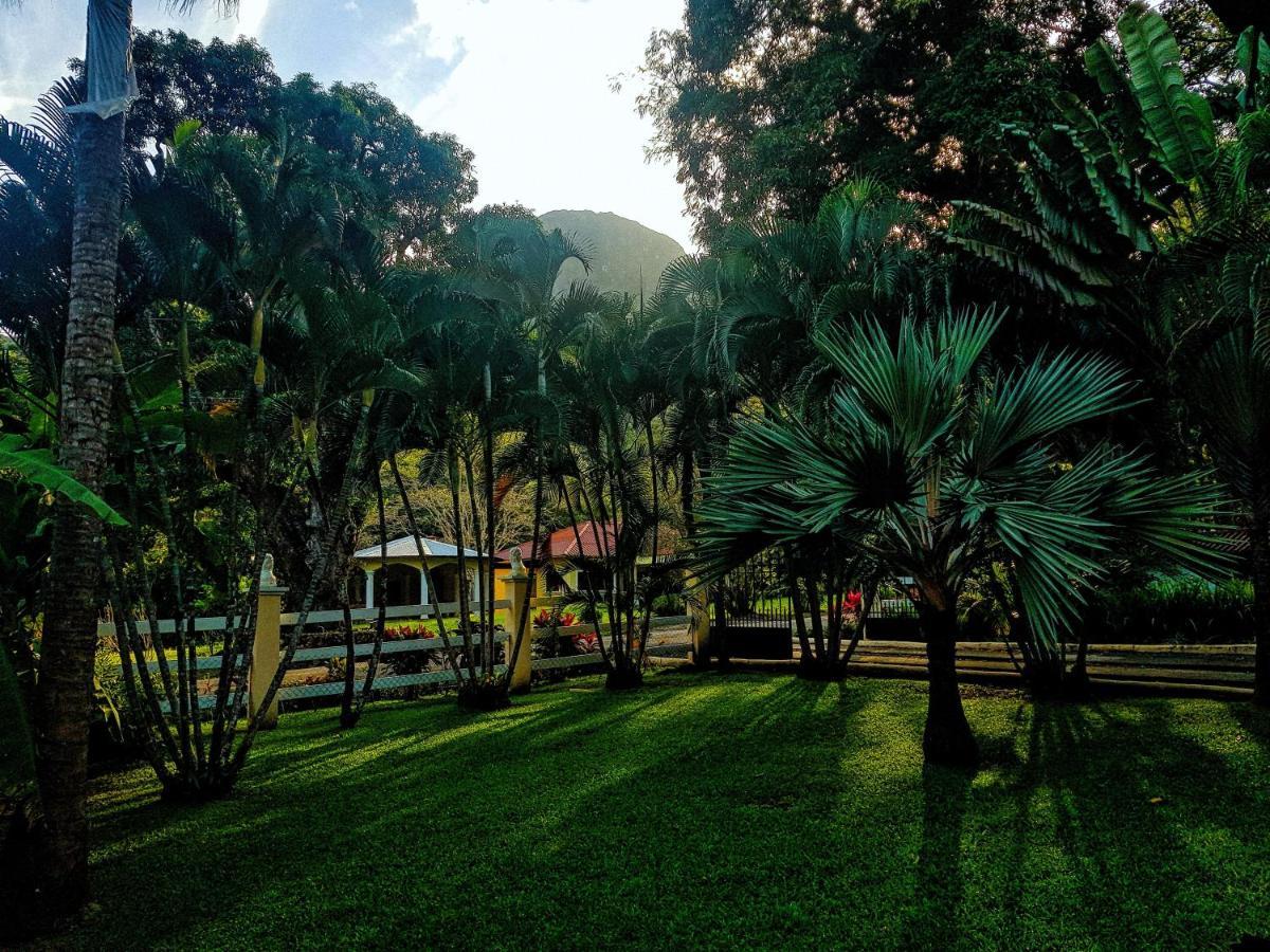 Tower Studio In The Treetops In Altos Del Maria Panama El Picacho 外观 照片